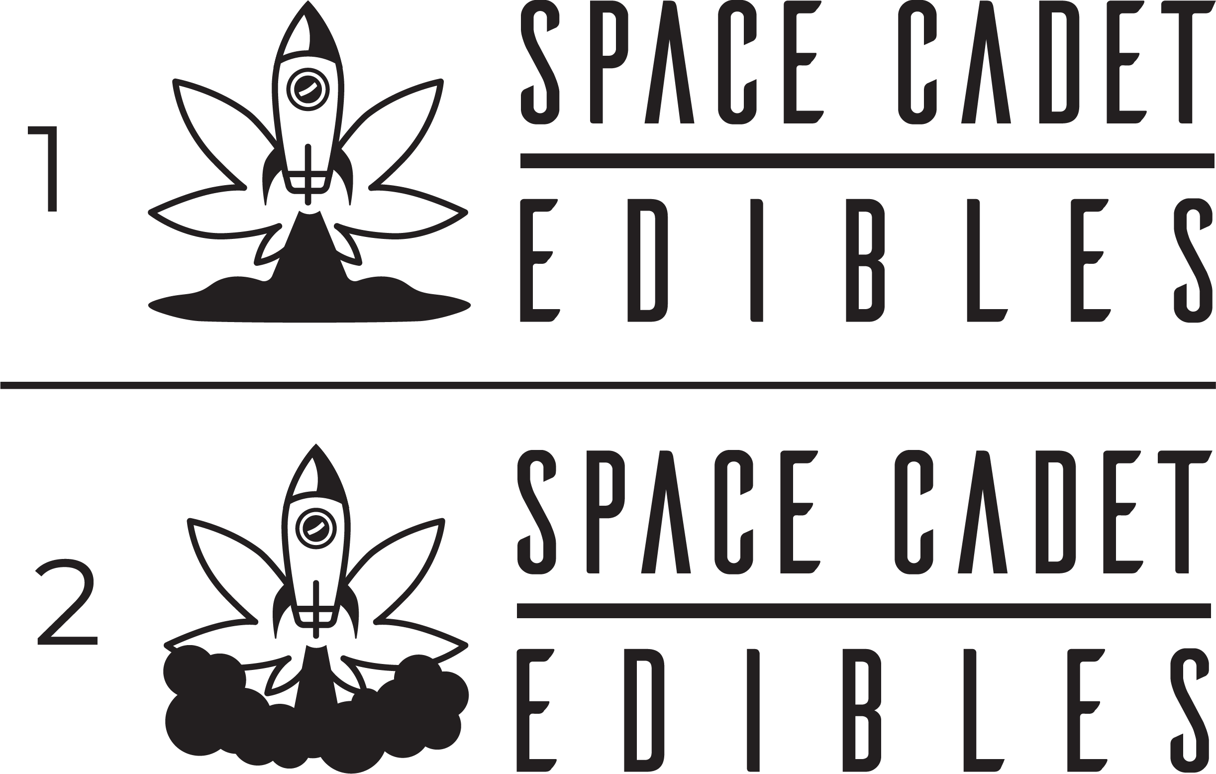 Both choices for the Space Cadet Edibles Logo